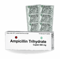 Ampicillin Trihydrate 500 mg